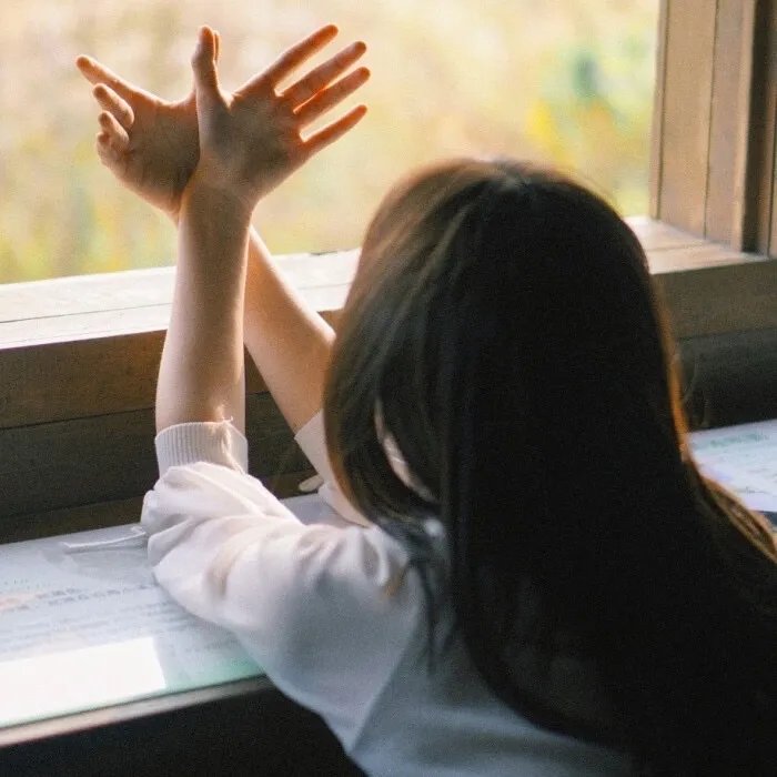 海鸥来过的房间